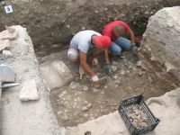 Chronicle of the Archaeological Excavations in Romania, 2009 Campaign. Report no. 27, Hârşova, La Cetate<br /><a href='http://foto.cimec.ro/cronica/2009/sistematice\027/06-HARSOVA-S-1-Pavajul-din-fata-portii.jpg' target=_blank>Display the same picture in a new window</a>